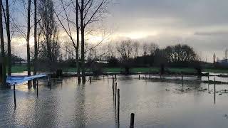 Parcours Hexia Cyclocross Gullegem onder water gelopen [upl. by Odnomar]