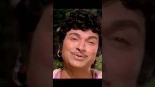 chinnada mallige hoove kannada songkannada drrajkumar love shorts trending trendingshorts [upl. by Nehr]