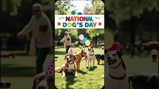 National Make a Dogs Day  today special  cute dogs todayspecial nationalday dogsday dog cute [upl. by Benedicta]