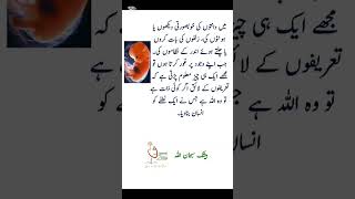 Insan ko khubsorat bnanay wala kon love arabic топ quotes [upl. by Colston]