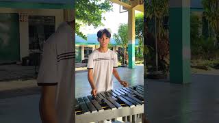 Sino ang Baliw Marimba Vibes marimba [upl. by Marolda]