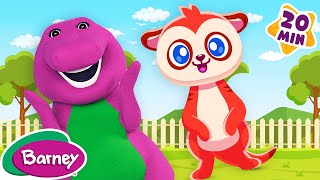 Pop Goes The Weasel  More Barney Nursery Rhymes and Kids Songs [upl. by Boulanger752]