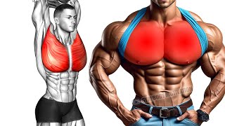 6 Effective Exercises to Build a Huge Chest [upl. by Dincolo]