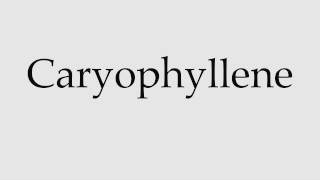 How to Pronounce Caryophyllene [upl. by Mountfort282]