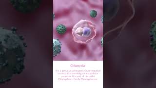 What is Chlamydia bacteria [upl. by Aniretak]