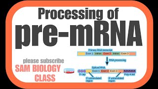 PROCESSING OF PREM RNA amp POST TRANSCRIPTIONAL MODIFICATION SAM BIOLOGY 🧫 CLASS [upl. by Anaugahs]