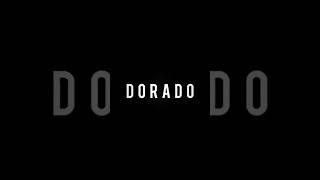 EL DORADO 🔥shortsfeed shorts viralshorts trending subho foryoupage foryou shortsyoutube [upl. by Stedmann]