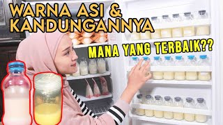 KENAPA WARNA ASI BERBEDABEDA ADA ASI KENTAL DAN ASI ENCER  PERBEDAAN FOREMILK DAN HINDMILK [upl. by Demaria]