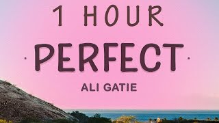 1 HOUR 🕐  Ali Gatie  Perfect Lyrics [upl. by Soisatsana]