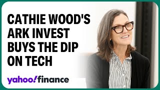 Cathie Woods Ark Invest is buying the dip on tech stocks [upl. by Hewe482]