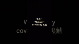 夏祭り  Whiteberry【covered by 黒鯱】short [upl. by Meridel]