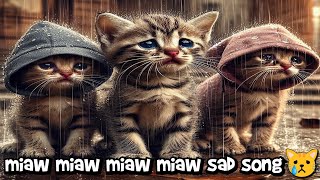 miaw miaw miaw sad cat song lyrics video [upl. by Mayrim]