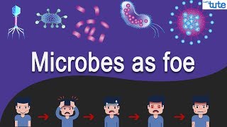 MicroOrganism and its Types  Biology  Letstute [upl. by Fagaly]