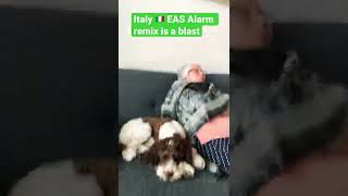 Italy eas alarm remix [upl. by Weslee]