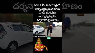 550 km కాలినడకన వెళ్తున్న కన్నె సాములు like1k trendingviralvideo facts ayyappa shortvideo [upl. by Lehcim536]