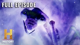 Ancient Aliens INSECT GODS OF DEEP SPACE S7 E7  Full Episode [upl. by Greg891]