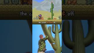 The Cactus Goes Off Script 🌵 w zackdfilms terraria [upl. by Wharton666]