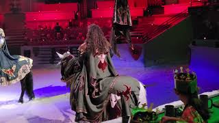 medieval times dallas different show [upl. by Jervis562]