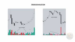 Trend Climax amp Exhaustion [upl. by Culley]