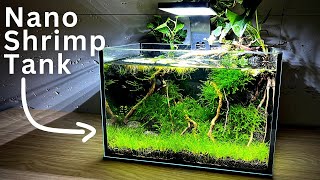 How To Make No filter Nano Shrimp Tank  Stepbystep tutorial [upl. by Neuburger882]