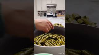 The Art of Stuffed Grape Leaves [upl. by Kovacs]