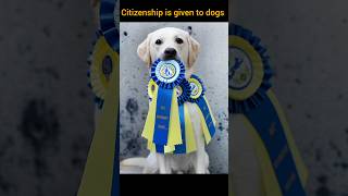 Dogs get citizenship in this country shortsfacts micronationcountry [upl. by Nesnar]