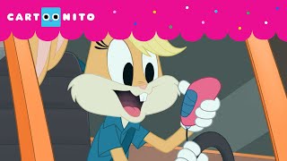 NOVO NINHO  BUGS BUNNY BUILDERS  CARTOONITO [upl. by Styles]