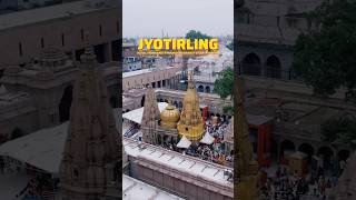 Kashi Vishwanath Varanasi Tour Plan Kashivishwanath shorts Viral youtubeshorts betraveller [upl. by Haag]