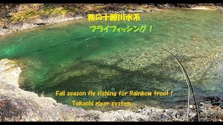 晩秋の十勝川水系のニジマス【フライフィッシング】fly fishing for Rainbow trout [upl. by Gerdi]