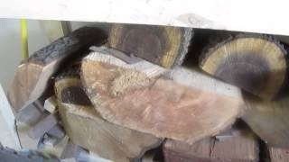 How to  HarvestDryStore Wood for Turning [upl. by Alejandra]