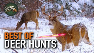 25 Deer Hunts Under 15 Minutes ULTIMATE Deer Hunting Compilation  BEST OF [upl. by Agbogla]