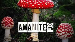 Amanite FX No nuclear mushrooms [upl. by Kassia]