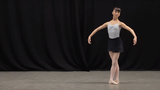 Insight Ballet Glossary  Pas de chat [upl. by Alisander]