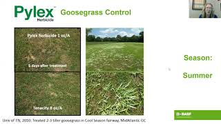 Pylex Herbicide – Controlling goosegrass in warmseason turf [upl. by Toft]