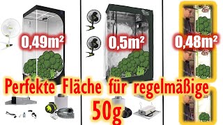 3 ideale CanG Selbstversorgersysteme  🥦 Growboxen für 1 Person  Legalisierung Eigenanbau [upl. by Arsuy]