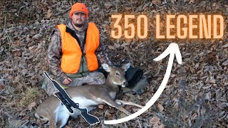 Hunting Deer with a 350 Legend  Ohio Deer Gun Season [upl. by Cattan]