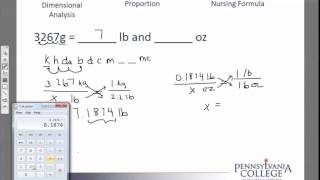 Simple Unit Conversions 9 grams to lb and oz [upl. by Jesselyn363]