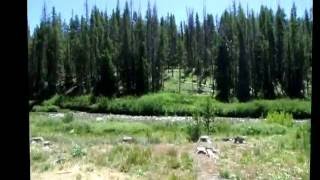 Beaver creek campground challis national forest idaho [upl. by Jezabel]