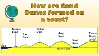 How are Sand Dunes formed on a coast  Labelled diagram and explanation [upl. by Reine]