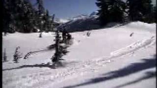 Canadian Snowmobile Backcountry Snowmobiling [upl. by Kaehpos]