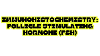 IMMUNOHISTOCHEMISTRY FOLLICLE STIMULATING HORMONE FSH [upl. by Supat]