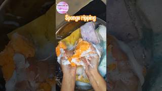 ASMR Sudsy sponge ripping VS Bleached sponge ripping😶‍🌫️🫧 shorts sponges spongeripping suds [upl. by Onirotciv413]