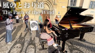 Yukis Magical Street Piano Performance Of quotpath Of The Windquot From My Neighbor Totoro [upl. by Ahsina]