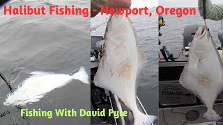 Halibut fishing with FishDR Guide Service out of Newport Oregon [upl. by Lunt]