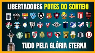 LIBERTADORES  POTES DO SORTEIO  FASE DE GRUPOS [upl. by Annayehc691]