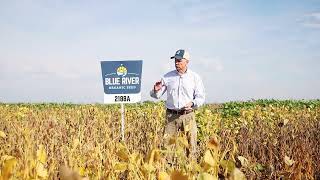 BLUE RIVER 2188A12N SOYBEANS  25 RM  ALBERT LEA SEED [upl. by Salomo]