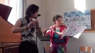 WF Bach  Flute Duo  Allegro [upl. by Kaitlin]