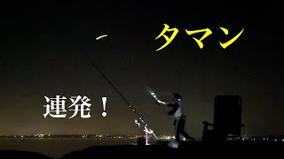 真夏の夜打ち込みで爆釣！やはりこのエサが釣れる。【沖縄釣り okinawa fishing タマン】 [upl. by Teodoro]