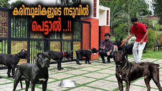 അയ്യോ അമ്മേ രക്ഷിക്കണേ  Vickies Greeny [upl. by Bor]