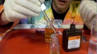 AP Biology Lab 12 Dissolved Oxygen [upl. by Eilzel14]